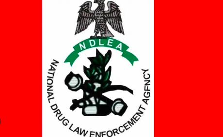 NDLEA Recruitment Form