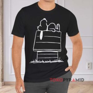 Exploring the 21368 Peanuts Snoopy Doghouse LEGO Set