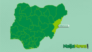 Exploring Adamawa: Culture, Challenges, and Development