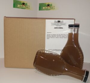 The Rise of Viral Videos in the Digital Era