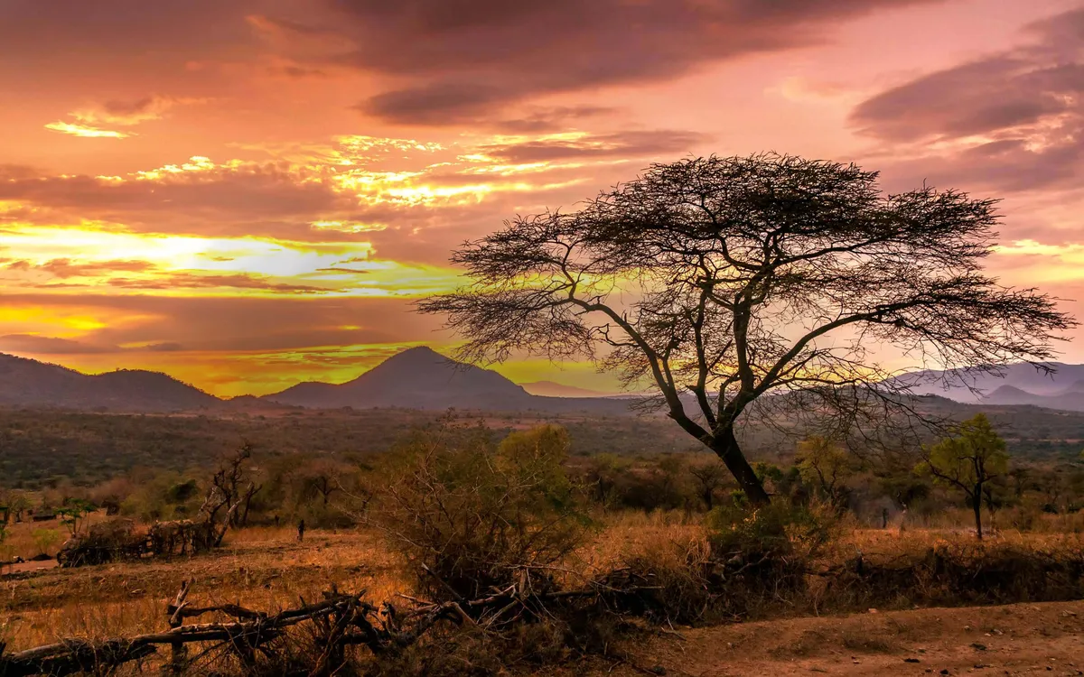 ethiopia — NG news