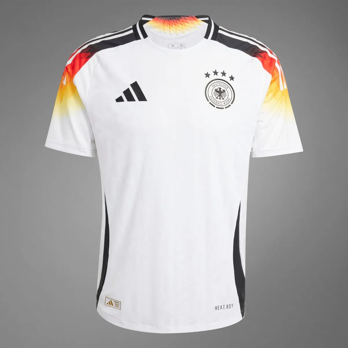 germany fc — NG news