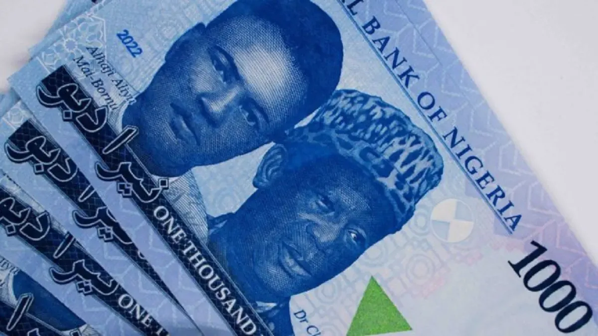nigerian naira — NG news