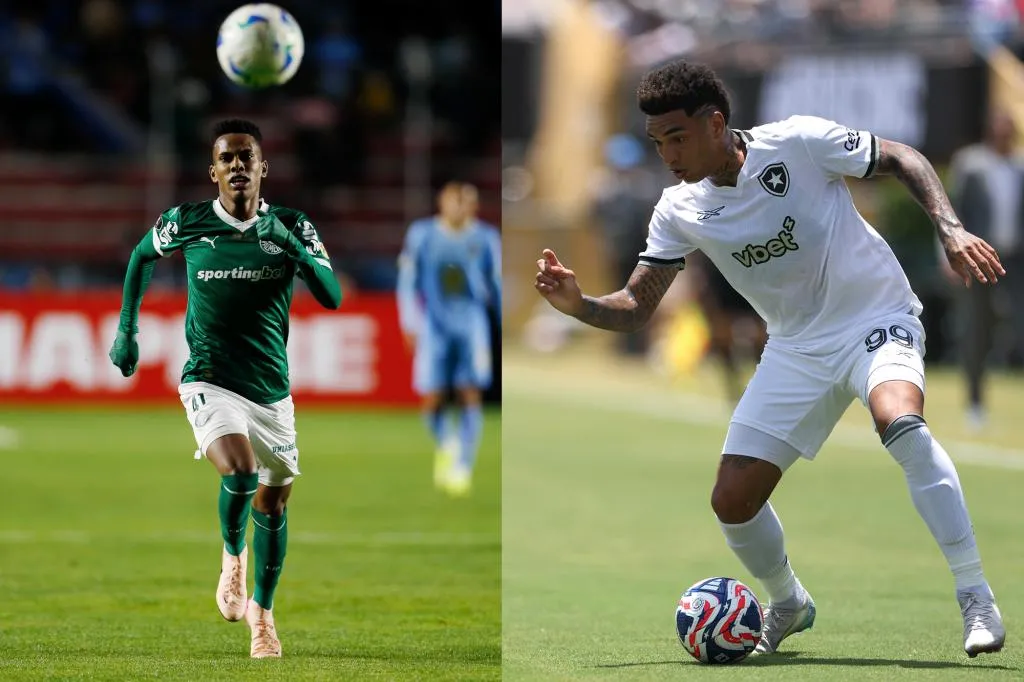 palmeiras vs botafogo — NG news