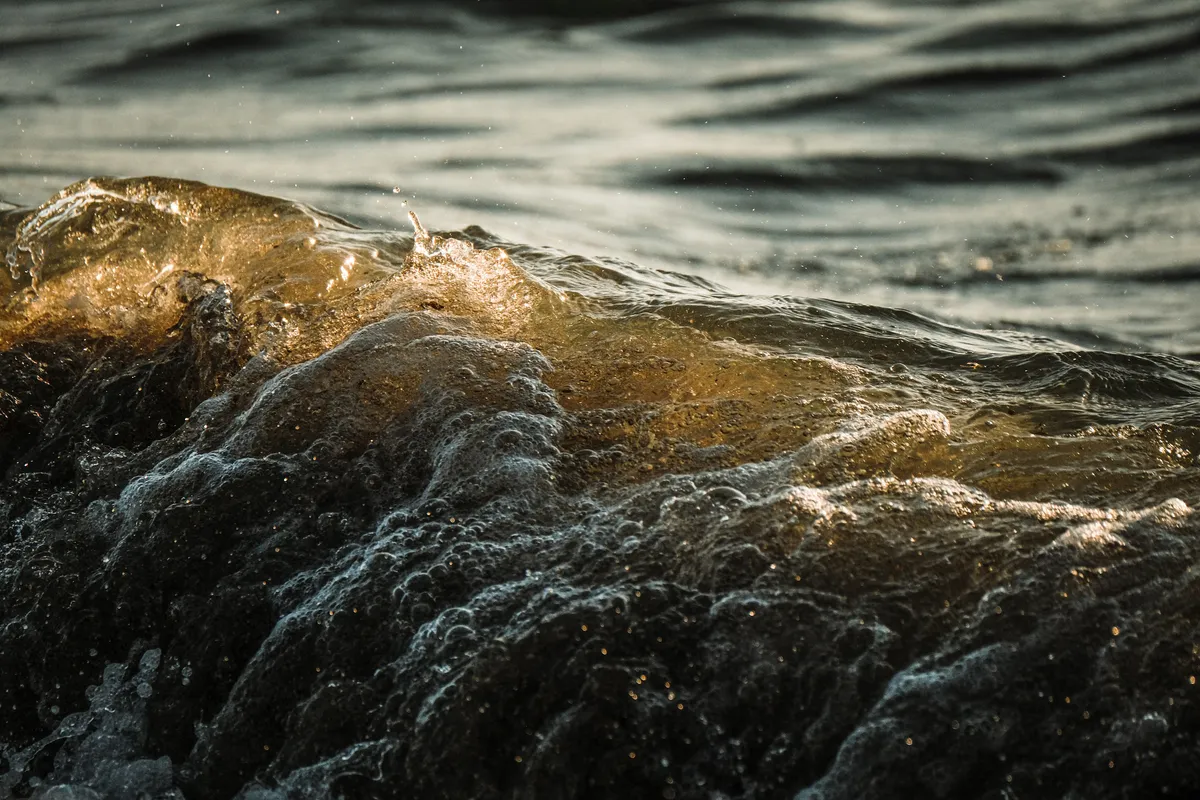 public holidays in march 2026 — NG news