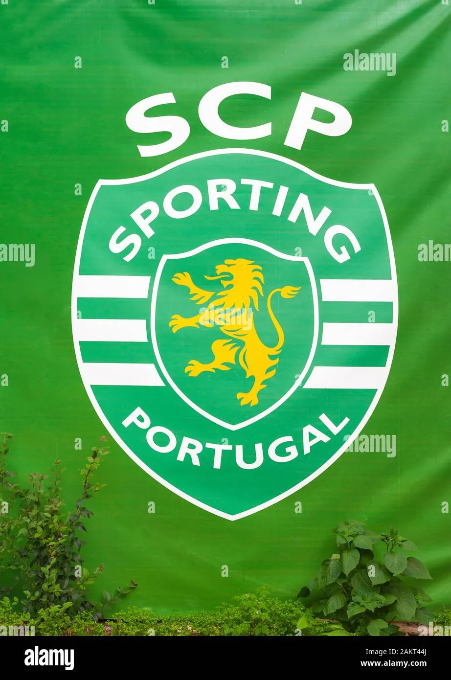 sporting fc — NG news