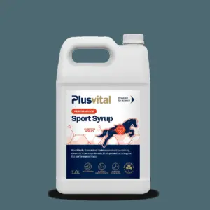 Sports Update: Lewandowski’s Salary Cut Proposal and Manchester United’s New Academy Chief