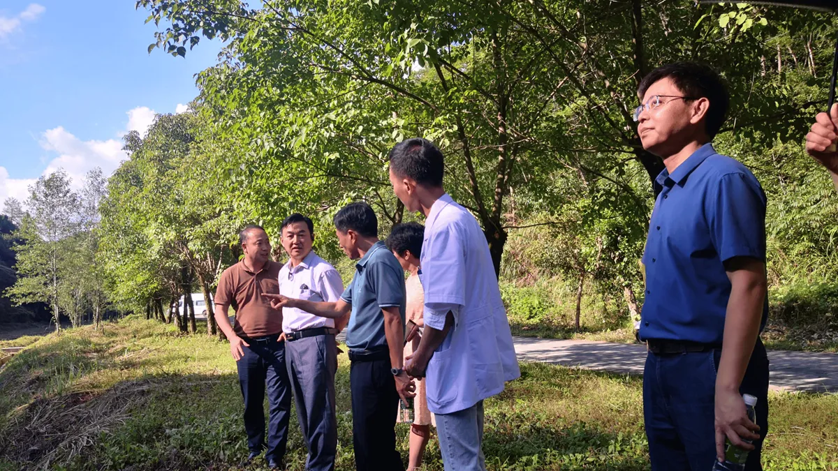 champion — NG news