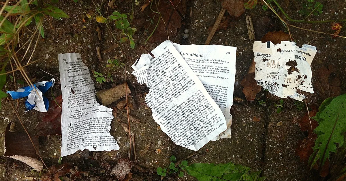 jehovah's witnesses — NG news