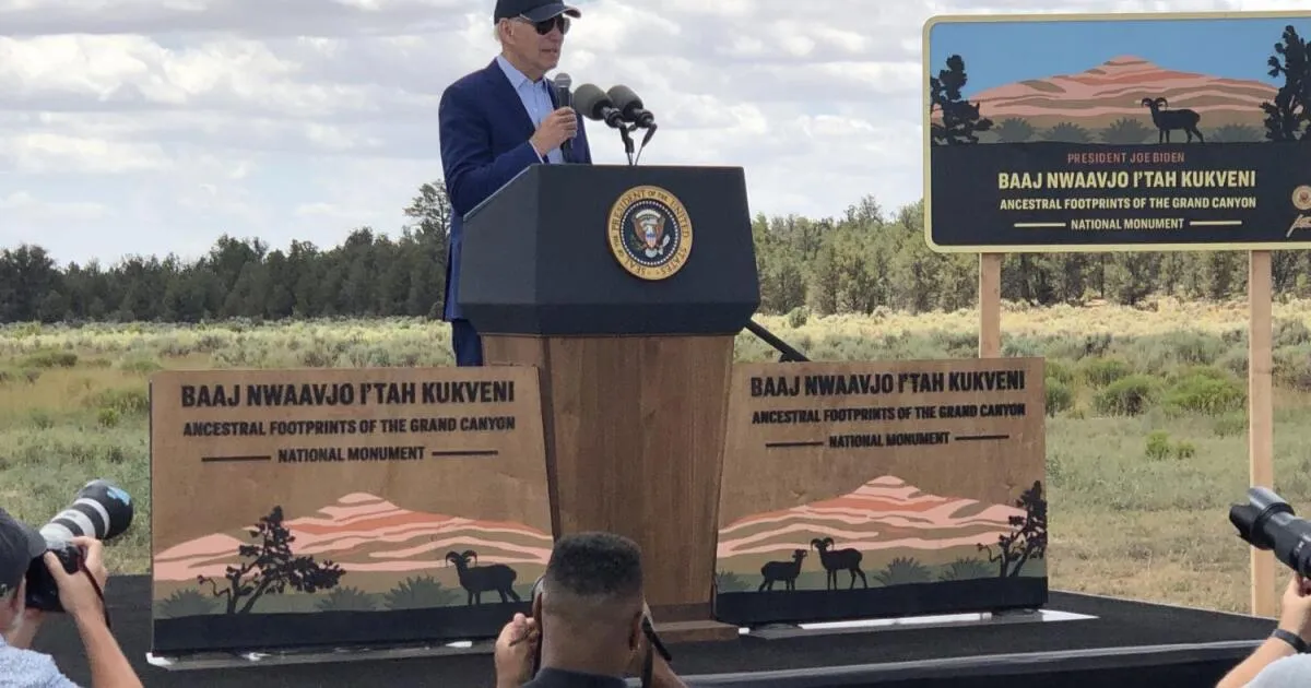 joe biden — NG news