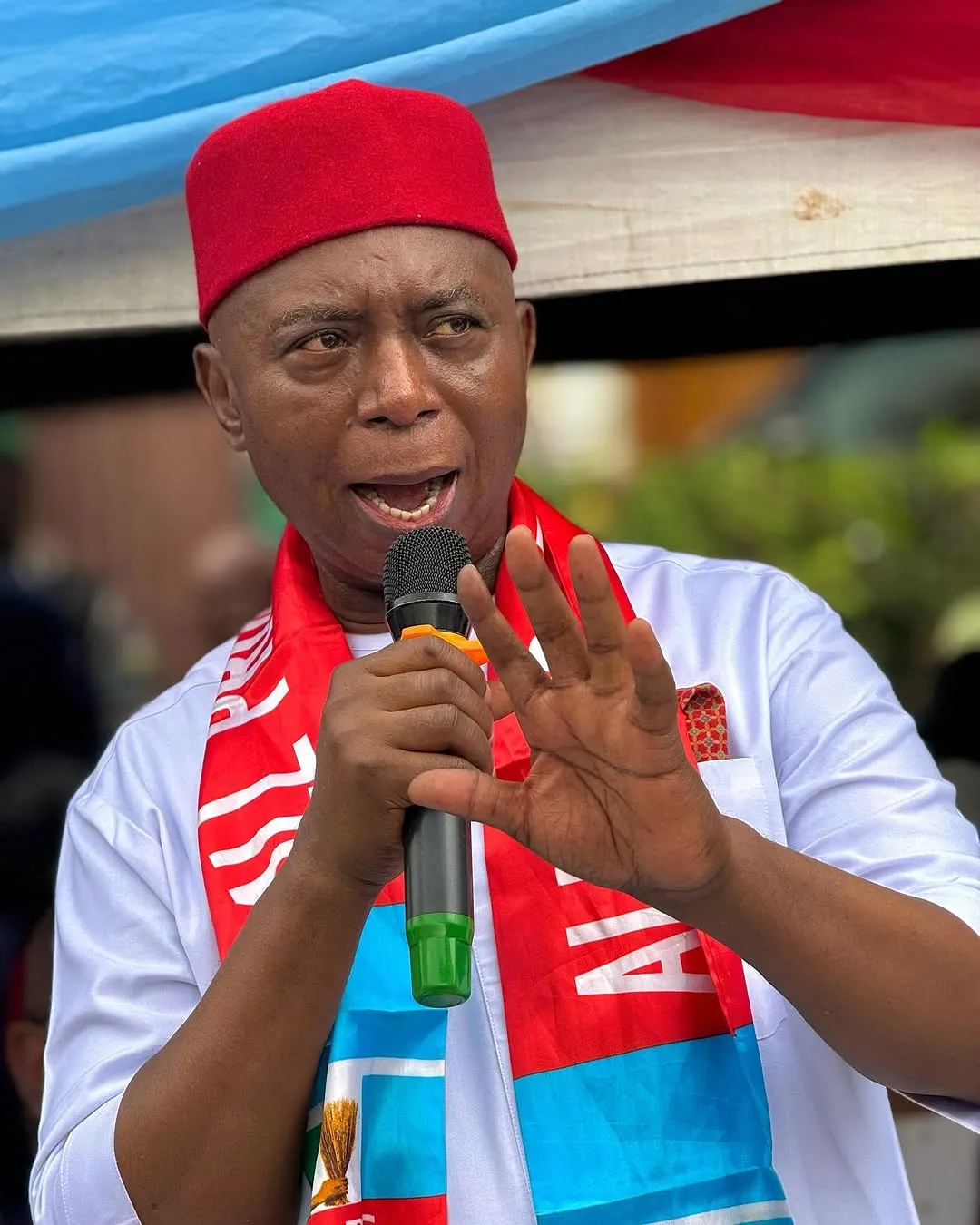 ned nwoko — NG news