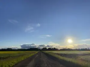 Nigeria Implemented Import Bans on 17 Specific Items Effective April 1 2026