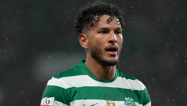 sporting vs tondela — NG news