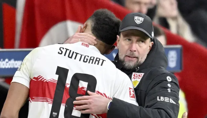 stuttgart vs hamburg — NG news