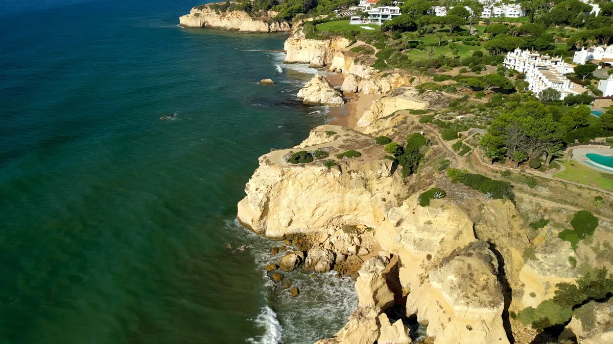 video videos — NG news