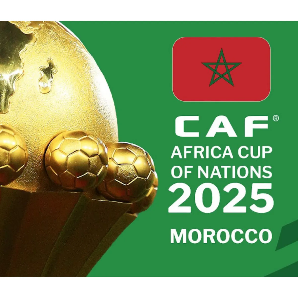 africa cup of nations — NG news